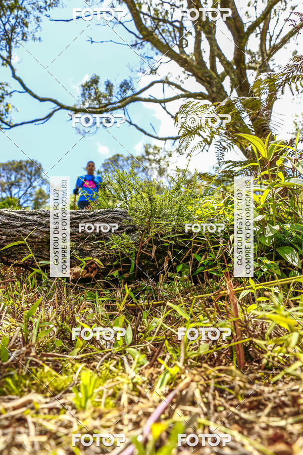 Buy your photos of the eventEvolution on Fotop