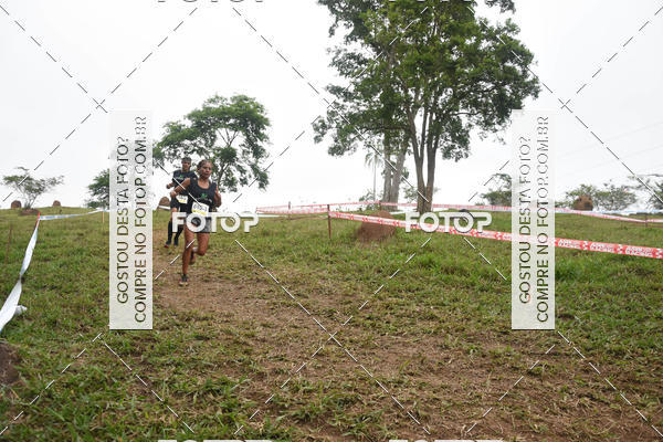 Buy your photos of the eventCross Country 2017 on Fotop
