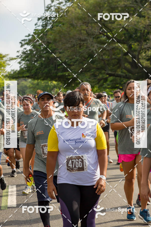 Buy your photos of the eventCircuito das Estaes 2018 - Outono - Rio de Janeiro on Fotop