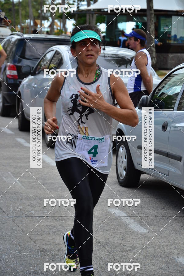 Acquista le foto dell'eventoI CICORRE - Boa Viagem - Recife in Fotop