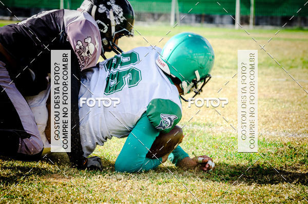 Buy your photos of the eventSHARKS X PIRATES on Fotop