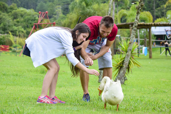 Buy your photos of the eventNR Fun 06 a 10/12/17 on Fotop