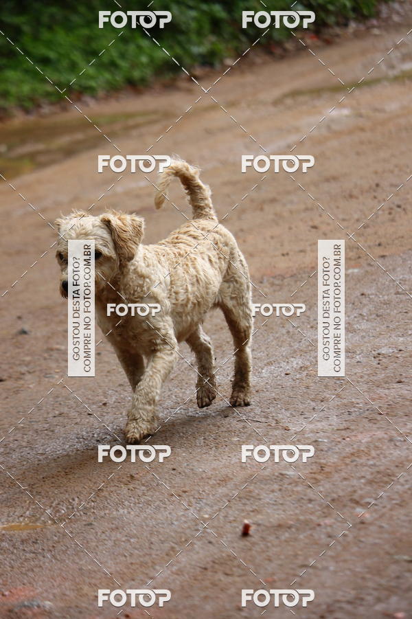 Achetez vos photos de l'vnementAPTR Ultra de Videiras sur Fotop