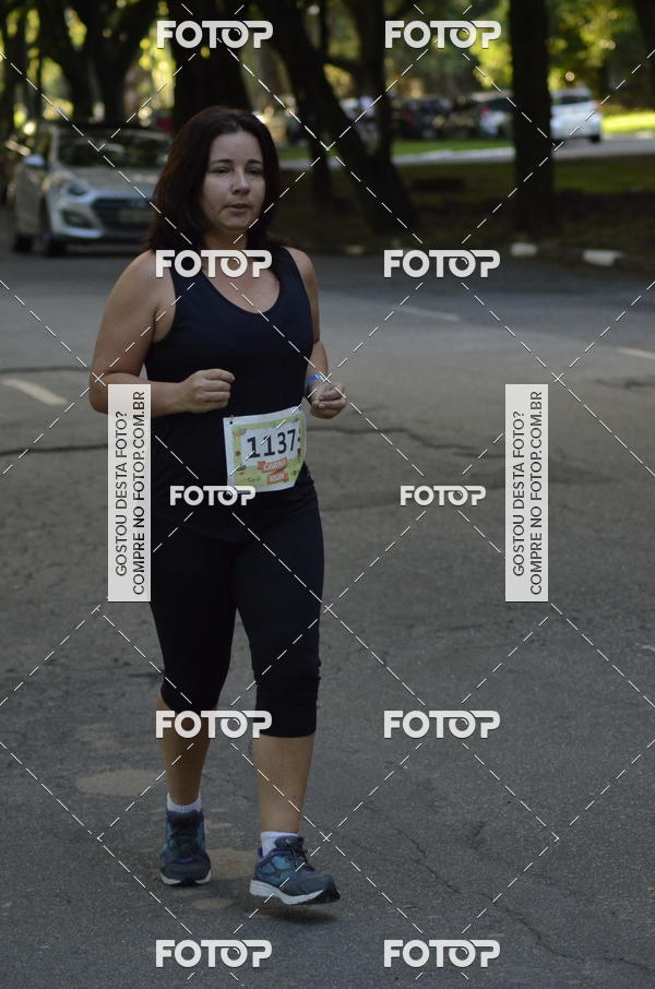 Buy your photos of the eventCARNA RUN SP - 2018 on Fotop
