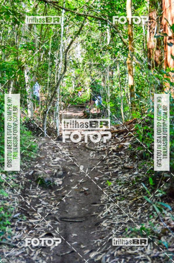 Buy your photos of the eventMountain Bike Ilha da Magia on Fotop