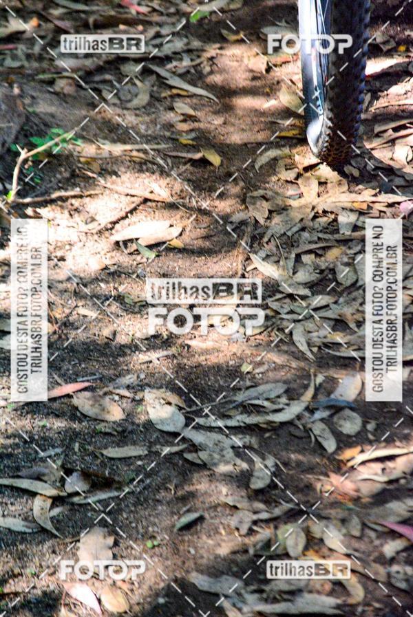 Buy your photos of the eventMountain Bike Ilha da Magia on Fotop