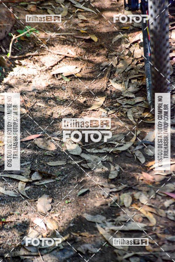 Buy your photos of the eventMountain Bike Ilha da Magia on Fotop