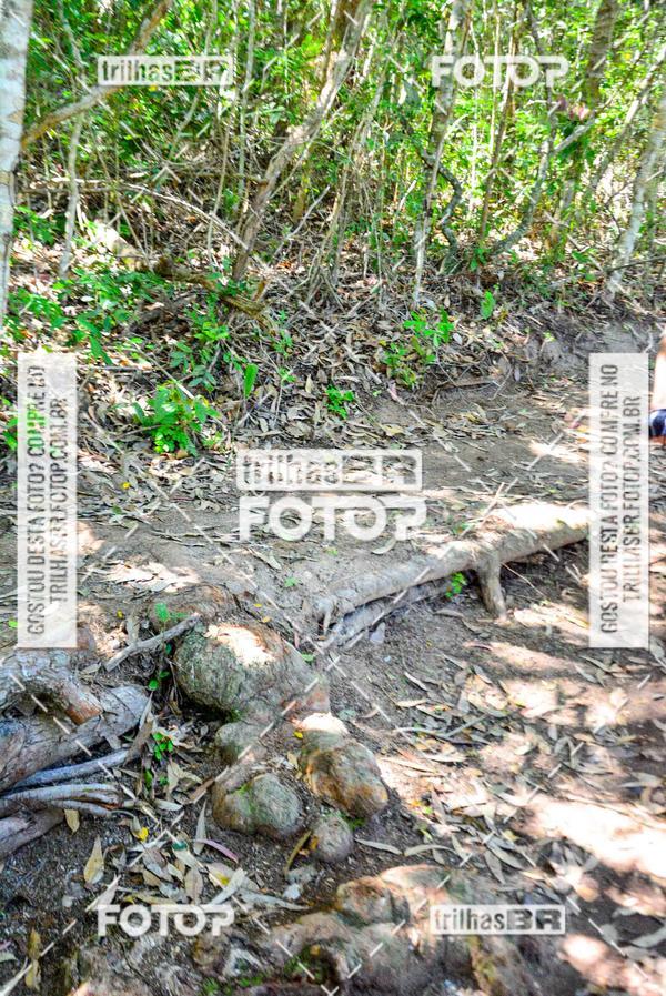 Buy your photos of the eventMountain Bike Ilha da Magia on Fotop