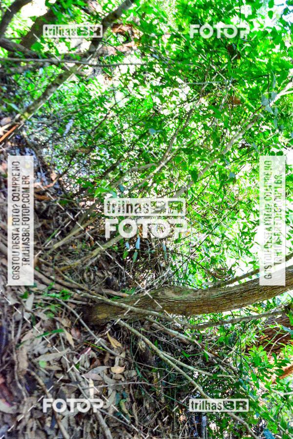 Buy your photos of the eventMountain Bike Ilha da Magia on Fotop