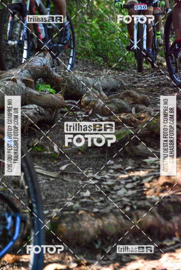 Buy your photos of the eventMountain Bike Ilha da Magia on Fotop