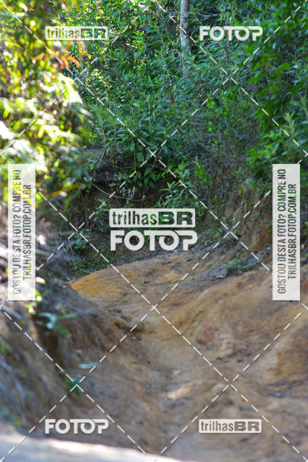Buy your photos of the eventMountain Bike Ilha da Magia on Fotop