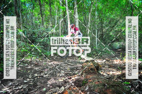 Buy your photos of the eventMountain Bike Ilha da Magia on Fotop
