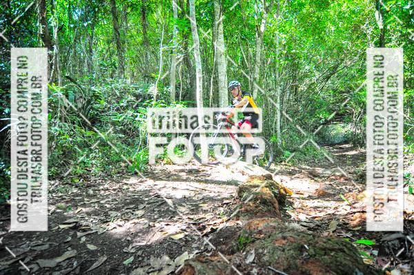 Buy your photos of the eventMountain Bike Ilha da Magia on Fotop