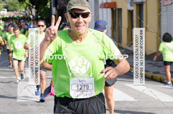 Buy your photos of the event15 Corrida das Pontes do Recife on Fotop