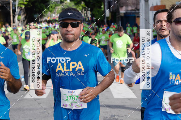 Buy your photos of the event15 Corrida das Pontes do Recife on Fotop