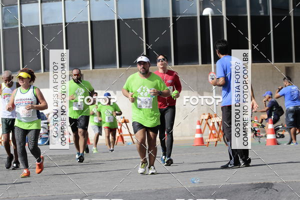 Buy your photos of the event15 Corrida das Pontes do Recife on Fotop