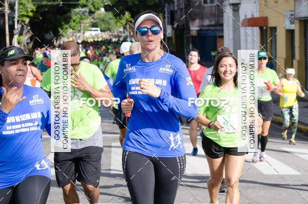 Buy your photos of the event15 Corrida das Pontes do Recife on Fotop
