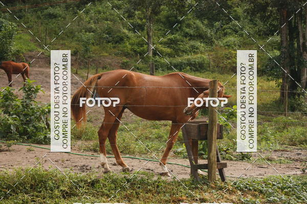 Buy your photos of the eventTrail running on Fotop
