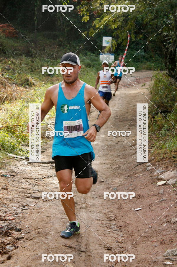 Acquista le foto dell'eventoTrail running in Fotop