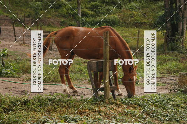 Acquista le foto dell'eventoTrail running in Fotop