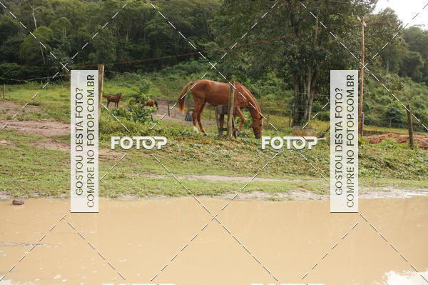 Acquista le foto dell'eventoTrail running in Fotop