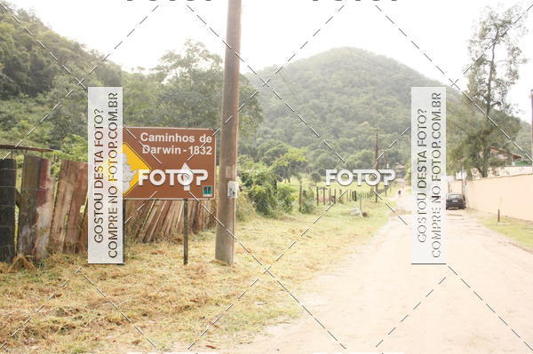 Buy your photos of the eventTrail running on Fotop