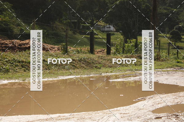 Buy your photos of the eventTrail running on Fotop