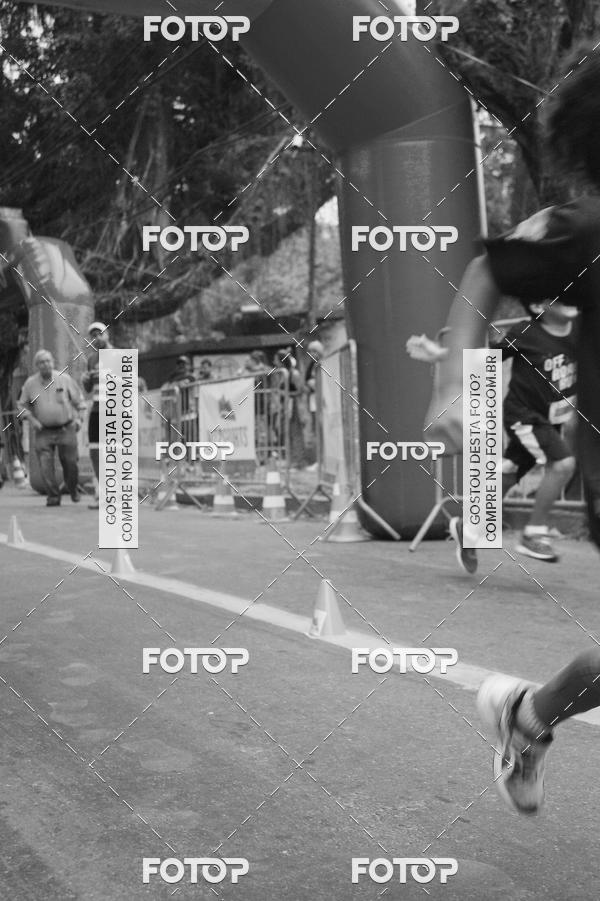 Buy your photos of the eventOff Road Run 2018 on Fotop