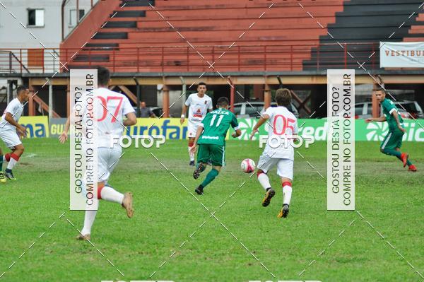 Buy your photos of the eventCopa So Paulo de Futebol Junior - Flamengo x Gois on Fotop