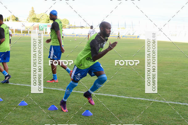 Buy your photos of the eventEsporte Clube Novo Hamburgo X S�o Paulo Rio Grande on Fotop