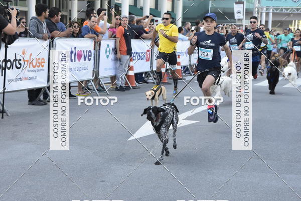 Buy your photos of the event2 Pet Run Shopping Eldorado  on Fotop