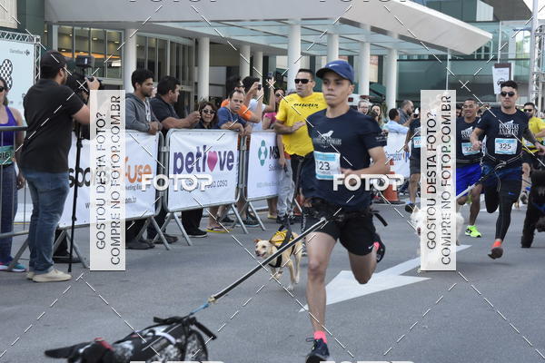 Buy your photos of the event2 Pet Run Shopping Eldorado  on Fotop
