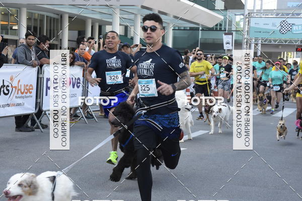 Buy your photos of the event2 Pet Run Shopping Eldorado  on Fotop