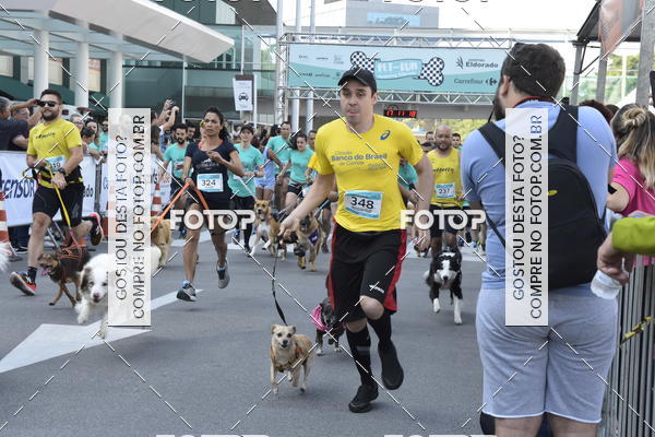 Buy your photos of the event2 Pet Run Shopping Eldorado  on Fotop