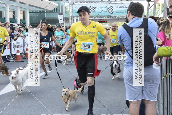 Buy your photos of the event2 Pet Run Shopping Eldorado  on Fotop
