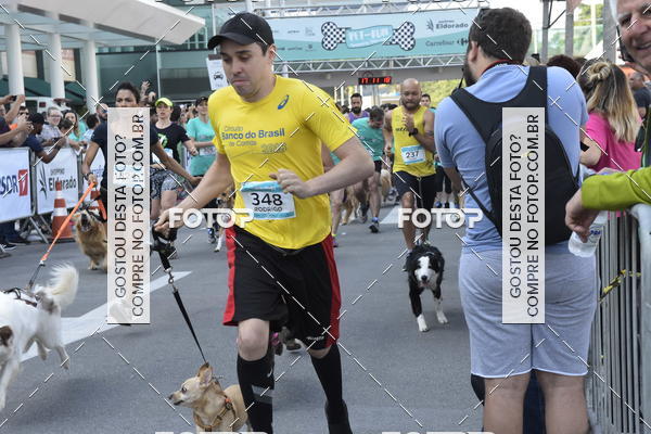 Buy your photos of the event2 Pet Run Shopping Eldorado  on Fotop