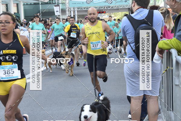 Buy your photos of the event2 Pet Run Shopping Eldorado  on Fotop