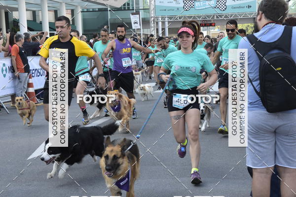 Buy your photos of the event2 Pet Run Shopping Eldorado  on Fotop