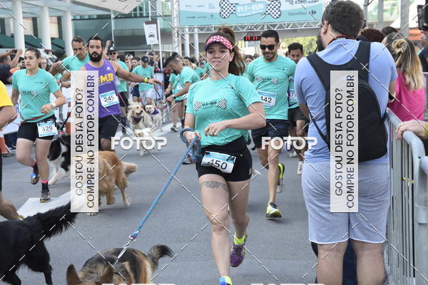 Buy your photos of the event2 Pet Run Shopping Eldorado  on Fotop