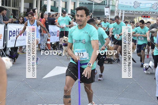 Buy your photos of the event2 Pet Run Shopping Eldorado  on Fotop