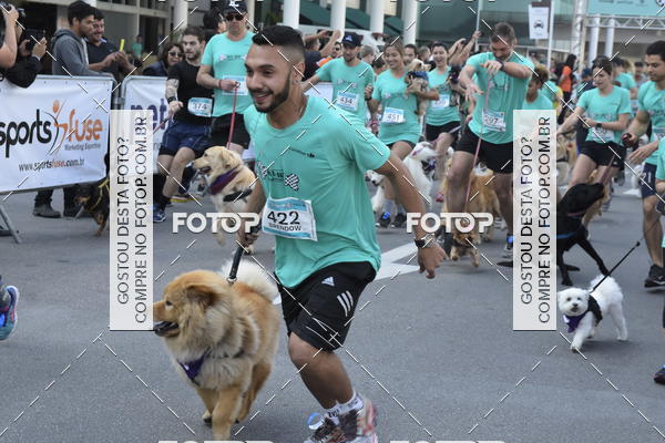 Buy your photos of the event2 Pet Run Shopping Eldorado  on Fotop