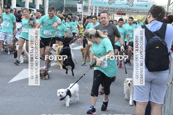 Buy your photos of the event2 Pet Run Shopping Eldorado  on Fotop