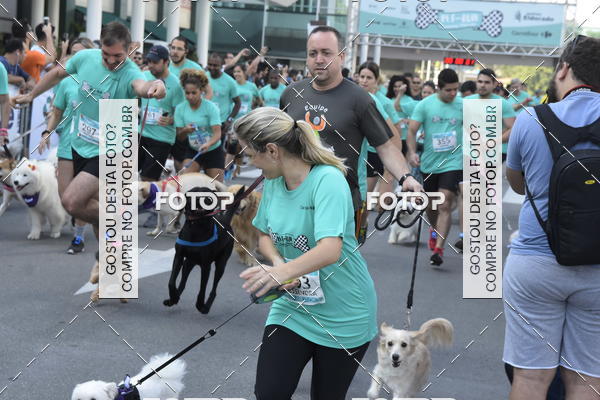 Buy your photos of the event2 Pet Run Shopping Eldorado  on Fotop