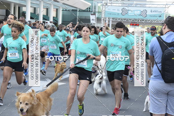Buy your photos of the event2 Pet Run Shopping Eldorado  on Fotop