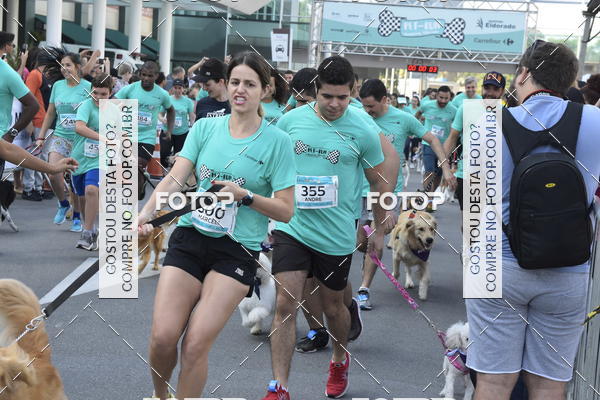 Buy your photos of the event2 Pet Run Shopping Eldorado  on Fotop