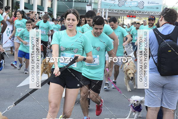 Buy your photos of the event2 Pet Run Shopping Eldorado  on Fotop