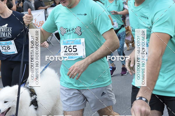 Buy your photos of the event2 Pet Run Shopping Eldorado  on Fotop