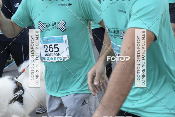 Buy your photos of the event2 Pet Run Shopping Eldorado  on Fotop