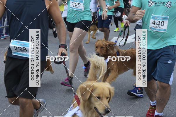 Buy your photos of the event2 Pet Run Shopping Eldorado  on Fotop