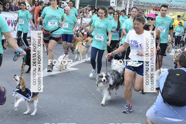Buy your photos of the event2 Pet Run Shopping Eldorado  on Fotop